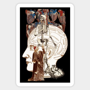 Anatomy Sticker